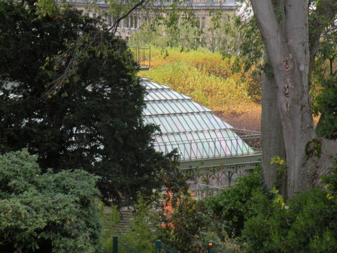  toit de la grande serre, jardin des plantes